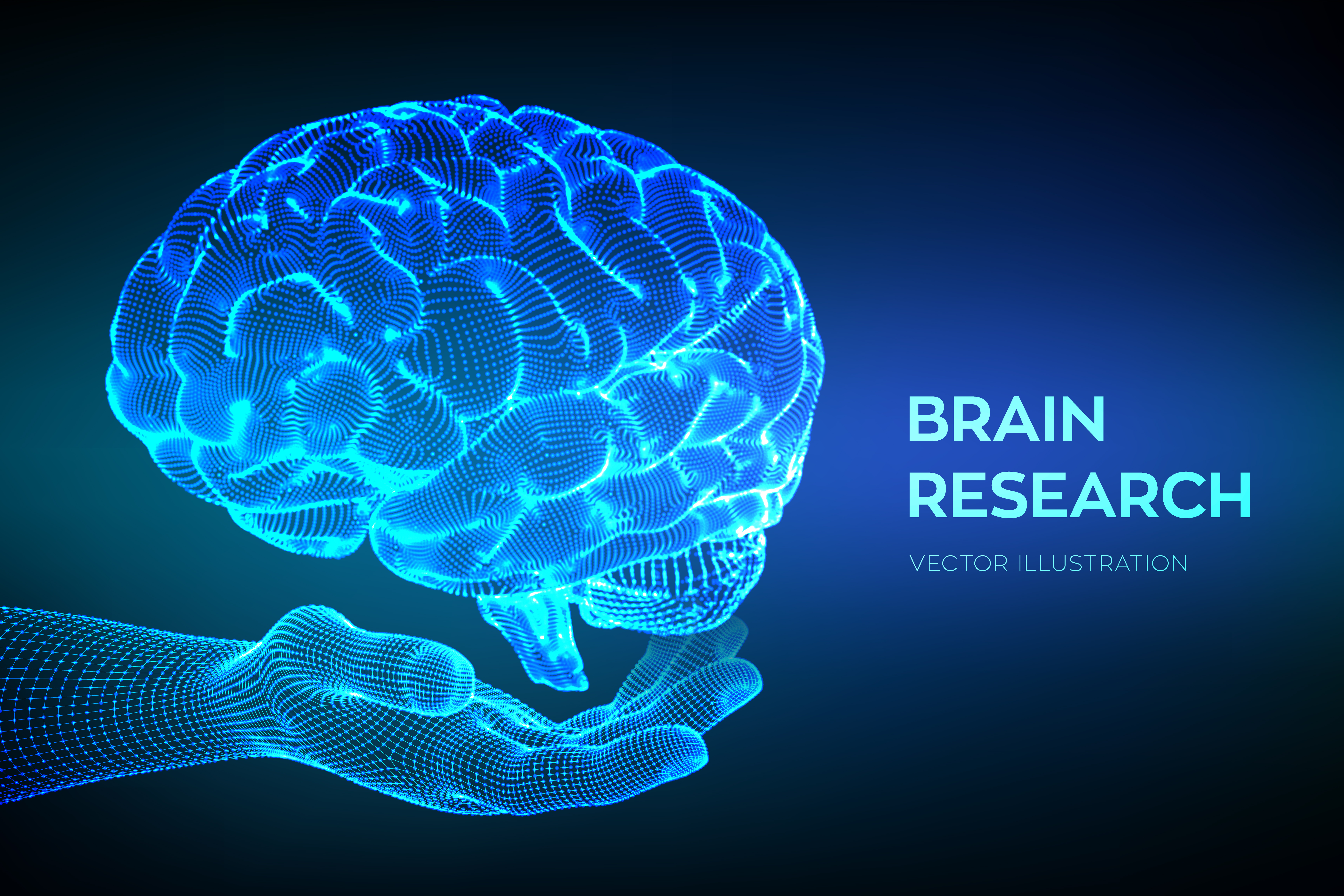 Neural Systems